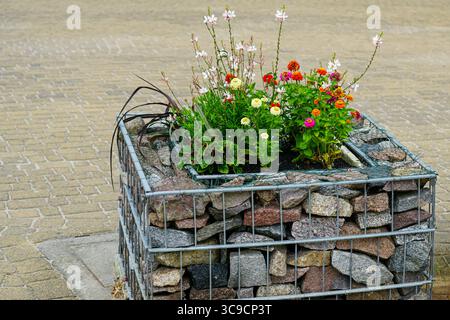 Dekorativer städtischer Blumentopf aus einem mit Steinen gefüllten Gabionenkäfig mit farbenfrohen Sommerblumen Stockfoto