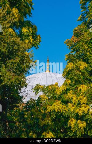 Eine goldene Moschee erhebt sich über einer weißen Kuppel, umgeben von grünen Bäumen mit gelben Blumen, die an einem klaren Sommertag gefangen werden. Stockfoto
