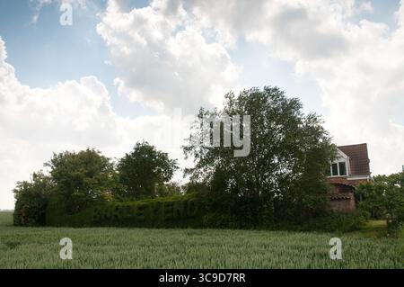 Pulsierende Landschaft mit einem charmanten Haus, eingebettet zwischen Bäumen, Feldern mit Feldfrüchten und einem Himmel voller Wolken, schaffen eine ruhige Atmosphäre. Stockfoto