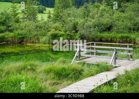 Zelenci Springs, Slowenien Stockfoto