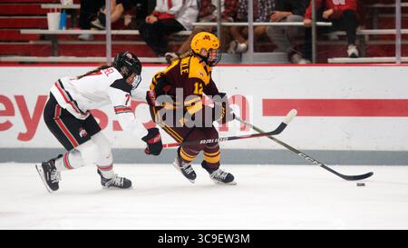 29. Oktober 2022: Minnesota Golden Gophers Stürmer Grace Zumwinkle (12) führt den Puck gegen Emma Peschel (7) in ihrem Spiel in Columbus, Ohio. Brent Clark/CSM (Bild: © Brent Clark/CSM via ZUMA Press Wire) Stockfoto