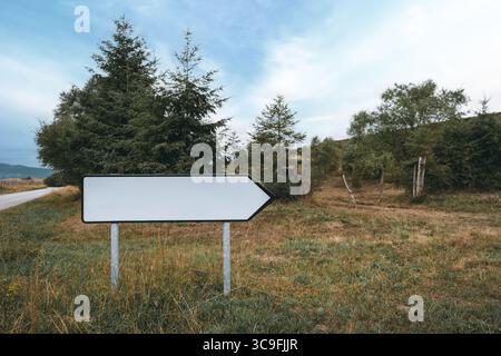 Ein leeres Richtungsschild auf einem Metallmast, das auf einer grasbewachsenen Straße mit Kiefern und ländlicher Landschaft im Hintergrund steht, ideal für TEM Stockfoto