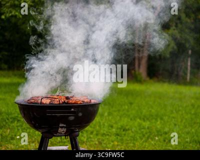 Rauchender Holzkohlegrill mit brodelndem Fleisch an einem Sommertag im grünen Hinterhof, Barbecue-Kochen im Freien in grüner Umgebung Stockfoto