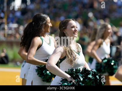 22. Oktober 2022: Baylor Bears Cheerleader während der 2. Hälfte des NCAA Football-Spiels zwischen den Kansas Jayhawks und Baylor Bears im McLane Stadium in Waco, Texas. Matthew Lynch/CSM (Foto: © Matthew Lynch/CSM via ZUMA Press Wire) Stockfoto