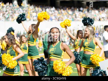 22. Oktober 2022: Baylor Bears Cheerleader während der 2. Hälfte des NCAA Football-Spiels zwischen den Kansas Jayhawks und Baylor Bears im McLane Stadium in Waco, Texas. Matthew Lynch/CSM (Foto: © Matthew Lynch/CSM via ZUMA Press Wire) Stockfoto