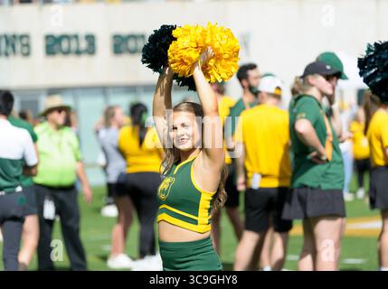 22. Oktober 2022: Baylor Bears Cheerleader während der 2. Hälfte des NCAA Football-Spiels zwischen den Kansas Jayhawks und Baylor Bears im McLane Stadium in Waco, Texas. Matthew Lynch/CSM (Foto: © Matthew Lynch/CSM via ZUMA Press Wire) Stockfoto