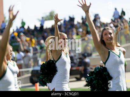 22. Oktober 2022: Baylor Bears Cheerleader während der 2. Hälfte des NCAA Football-Spiels zwischen den Kansas Jayhawks und Baylor Bears im McLane Stadium in Waco, Texas. Matthew Lynch/CSM (Foto: © Matthew Lynch/CSM via ZUMA Press Wire) Stockfoto
