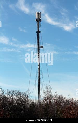 Ein hoher Mobilfunkturm aus Stahl mit Antennen und Stützkabeln erhebt sich über blattlosen Bäumen, die vor einem klaren blauen Himmel eine Silhouette bilden Stockfoto