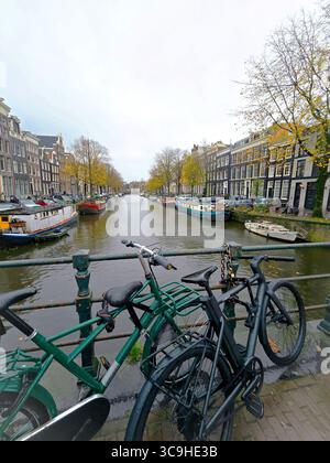Herbstlaub und Fahrräder säumen an einem bewölkten Tag einen friedlichen Amsterdamer Grachtenpfad. Stockfoto