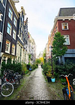 Eine nebelige Seitenstraße im Amsterdamer Viertel Jordaan, gesäumt von Topfpflanzen und klassischen niederländischen Häusern. Stockfoto