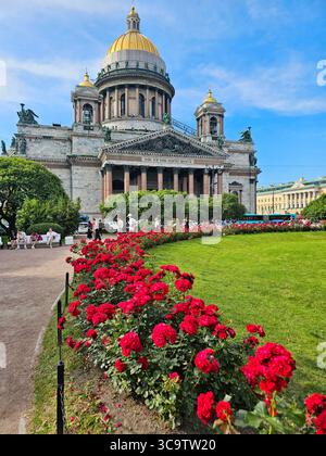 Isaakskathedrale umgeben von leuchtenden Rosen in St. Petersburg an einem sonnigen Tag - Sankt Petersburg, Russland - 14. Juli 2025 Stockfoto