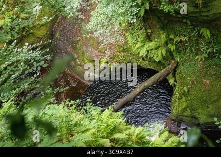 Aus der Vogelperspektive auf eine moosbedeckte Felsschlucht mit einem Bach darunter und einem umgefallenen Baumstamm, der das Wasser überquert, umgeben von üppiger Vegetation. Stockfoto