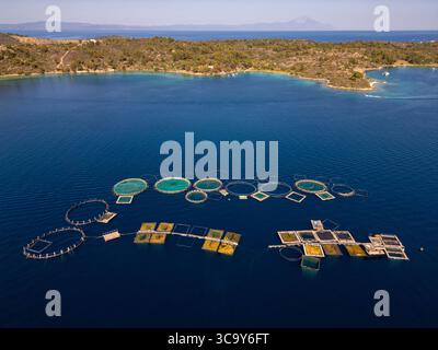 Aus der Vogelperspektive auf eine Fischfarm mit kreisförmigen und quadratischen Käfigen, die im Meer in der Nähe eines Küstengebiets schwimmen, umgeben von blauem Wasser und bewaldeten Hügeln im Stockfoto