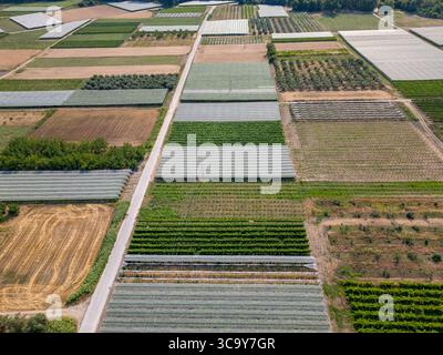 Drohnenansicht von bewirtschaftetem Ackerland mit Weinbergen, Obstgärten und schützenden Gewächshausnetzen. Ordentliche rechteckige Flächen bilden eine farbenfrohe Landwirtschaft Stockfoto