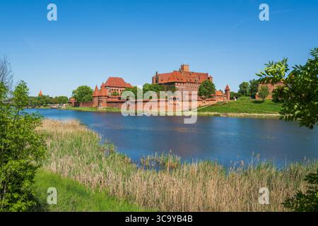 Malbork am Fluss Nogat die größte mittelalterliche Ziegelburg Polens. Stockfoto