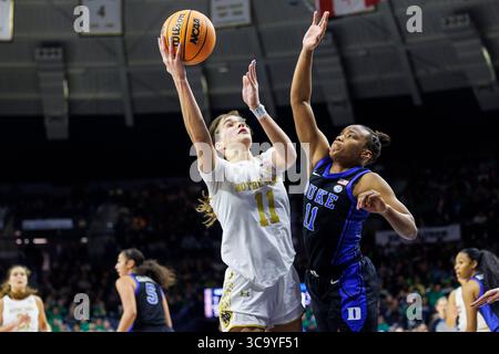 5. Februar 2023: Notre-Dame-Wachmann Sonia Citron (11) steht für einen Schuss, als Duke Guard Jordyn Oliver (11) während der NCAA Women's Basketball-Action zwischen den Duke Blue Devils und den Notre Dame Fighting Irish im Purcell Pavilion im Joyce Center in South Bend, Indiana, verteidigt. Duke besiegte Notre Dame 57-52. John Mersits/CSM. (Kreditbild: © John Mersits/CSM via ZUMA Press Wire) Stockfoto