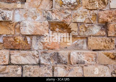 Steinmauer aus natürlichem Muschelstein. Stockfoto