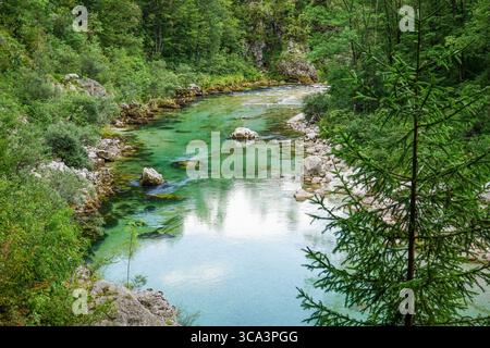 Soča, Nationalpark Triglav, Slowenien Stockfoto
