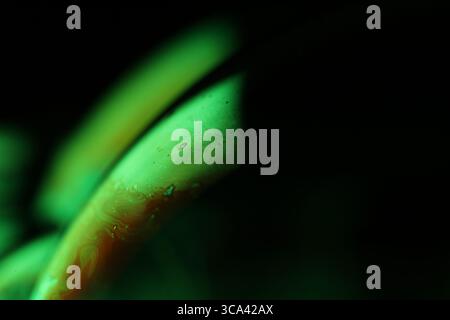 Grüne flüssige Oberfläche, phänomenale Struktur, grüne Öle auf dunklem Hintergrund, farbenfrohe abstrakte, surrealistische Kunst, Lichtlinie Stockfoto