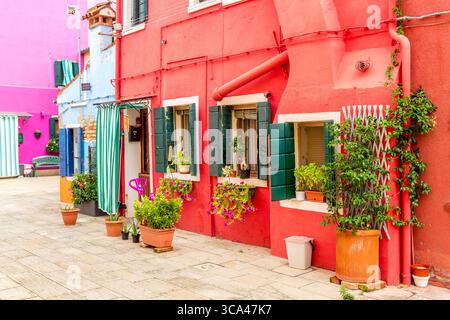 Wunderschönes, farbenfrohes, kleines Haus mit Pflanzen auf der Insel Burano in der Nähe von Venedig, Italien. Stockfoto