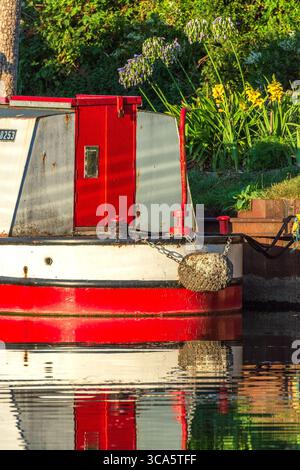 Rot-weißes Schmalboot vertäut auf dem Lee River, Lea Valley Kanal im Sommer, Lee Navigation, London, England, Großbritannien. Alternative Lebensstile in London. Stockfoto