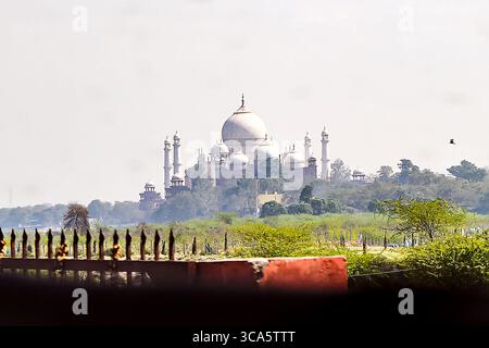 Der große Innenhof und die Paläste von Agra Fort in Uttar Pradesh, Indien, zeigen majestätische Mogularchitektur aus der Zeit des Kaisers Akbar. Stockfoto