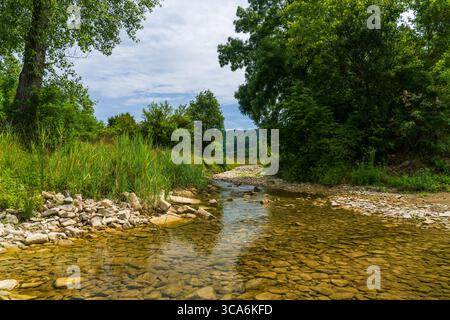 Klarer Gebirgsbach, der durch den grünen Wald in Kroatien fließt. Umgeben von üppiger Vegetation und Bäumen. Ruhige Naturszene, perfekt für Reisen, nat Stockfoto