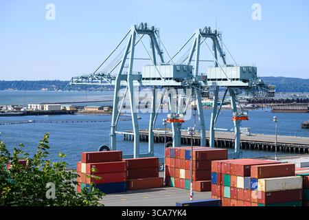 Everett, WA, USA - 30. Juli 2025 - Port of Everett Hewitt Terminal Krane mit gestapelten intermodalen Containern Stockfoto