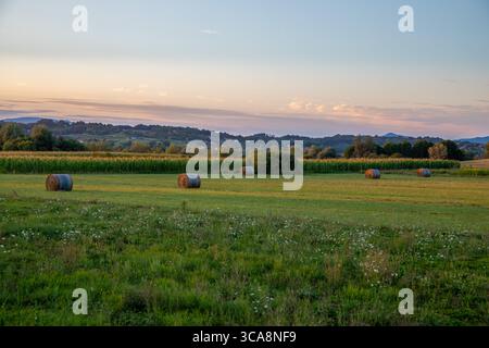 Friedliche ländliche Landschaft mit Heuballen auf einer grünen Wiese bei Sonnenuntergang, die die Sommerernte auf dem Land repräsentiert. Stockfoto