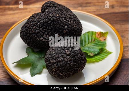 Köstliche Pilze, frische schwarze Sommertrüffelpilze aus Italien für die Zubereitung von Trüffelgerichten mit leckerem Aroma, kulinarisches Restaurant in Frankreich Stockfoto