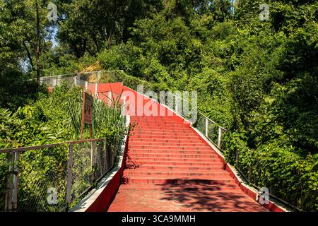 Friedliche Wanderung auf der Red Treppen inmitten von Forest Green Stockfoto