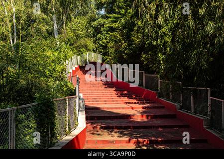 Red Mountain Treppen inmitten von Grün in Chattogram Stockfoto
