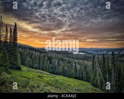 Eine malerische Landschaft mit einem lebhaften Sonnenuntergang über einem üppigen Wald, mit einem grünen Hügel im Vordergrund und dramatischen Wolken. Stockfoto