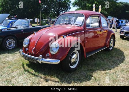 Ein 1967er Volkswagen Beetle 1500 parkte auf der 50th Historic Vehicle Gathering in Powderham, Devon, England, Großbritannien. Stockfoto