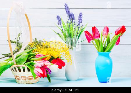 Bunte rote Frühlings-Tulpenblüten in schöner blauer Vase mit Tulpen und Mimosa-Büschen im Korb und Vase mit Lavendel auf hellem hölzernem Hintergrund als Greetin Stockfoto