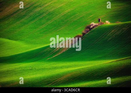 Panoramablick auf wunderschöne grüne wellige Felder mit Jagdturm im Frühjahr. Landwirtschaftlich genutzte Landschaft mit einsamem Turm in Südmähren in der Nähe von Kyjov, Stockfoto