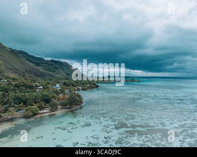 Blick aus der Vogelperspektive auf die Küste von Moorea Island mit türkisfarbener Lagune und üppigen Bergen. Stockfoto