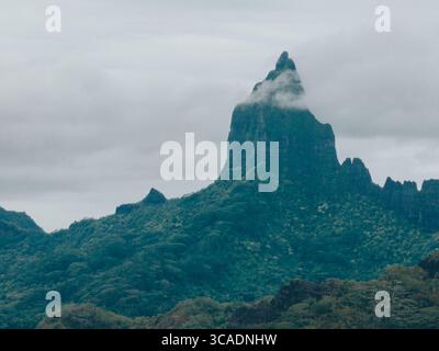 Der wolkenbedeckte Mount Tohivea erhebt sich über den üppigen Regenwald auf Moorea Island. Stockfoto