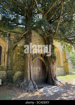 St. Edward’s Church in Stow-on-the-Wold, ein historisches Juwel aus dem Mittelalter in Cotswolds, berühmt für seine magische, mit Eiben umrahmte Eingangstür. Stockfoto
