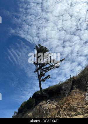 Otter Crest Beach in Depoe Bay, Oregon. Stockfoto