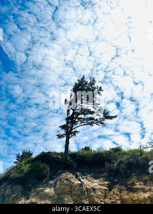Otter Crest Beach in Depoe Bay, Oregon. Stockfoto