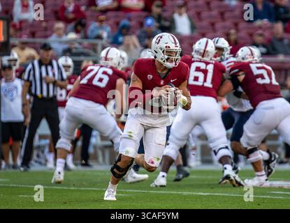 23. September 2023 Palo Alto, CA USA Stanford Quarterback Justin Lamson (8) sucht nach dem kurzen Pass während des NCAA Football-Spiels zwischen den Arizona Wildcats und dem Stanford Cardinal. Arizona besiegt Stanford 21-20 im Stanford Stadium Palo Alto, CA Thurman James / CSM (Foto: © Thurman James/CSM via ZUMA Press Wire) Stockfoto