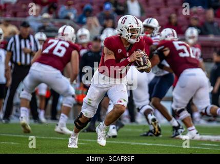 23. September 2023 Palo Alto, CA USA Stanford Quarterback Justin Lamson (8) sucht nach dem kurzen Pass während des NCAA Football-Spiels zwischen den Arizona Wildcats und dem Stanford Cardinal. Arizona besiegt Stanford 21-20 im Stanford Stadium Palo Alto, CA Thurman James / CSM (Foto: © Thurman James/CSM via ZUMA Press Wire) Stockfoto