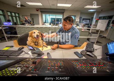 31. Juli 2019: In ihrer offiziellen Jacke interagiert ein Komforthund mit einem Funksprecher der Polizeidienststelle in Hawthorne, CA. (Bild: © Spencer Grant/ZUMA Press Wire) Stockfoto