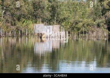 Handgemachte Fallen im flachen Wasser des Pangalanes-Kanals, die von lokalen Fischern zum Fangen von Garnelen, Fischen und Aalen bei Flut verwendet werden. Stockfoto