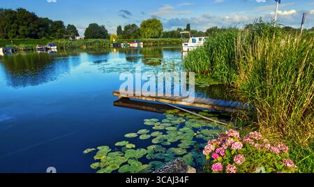 Hölzerne Dock erstreckt sich über ruhige niederländische Poldergewässer, eingerahmt von grüner Vegetation und schwimmenden Seerosen in friedlicher niederländischer Landschaft Stockfoto