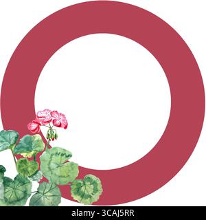 Geranienpflanze mit hellrosa Blüten und grünen abgerundeten Blättern ziert einen roten runden Rahmen auf weißem Hintergrund. Handgemalte Aquarelle Stockfoto