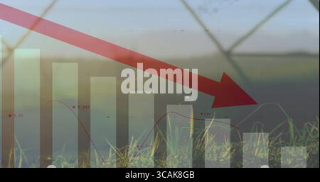 Großer roter Pfeil, der diagonal über das Grasfeld zeigt, mit Balken, Liniendiagramm, Zaun Stockfoto