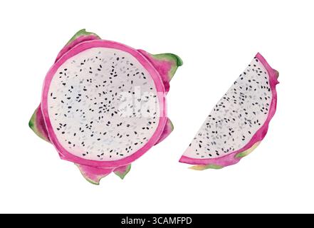 Aquarellabbildung von Drachenfrüchten oder rosa pitaya-Früchten. Set aus geschnittenen und halben Teilen. Stockfoto