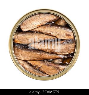 Geräucherte Sprotten in Pflanzenöl in einer offenen Dose. Konservierte geräucherte europäische Sprossen in Öl. Sprattus sprattus, ein kleiner Meeresfisch. Stockfoto